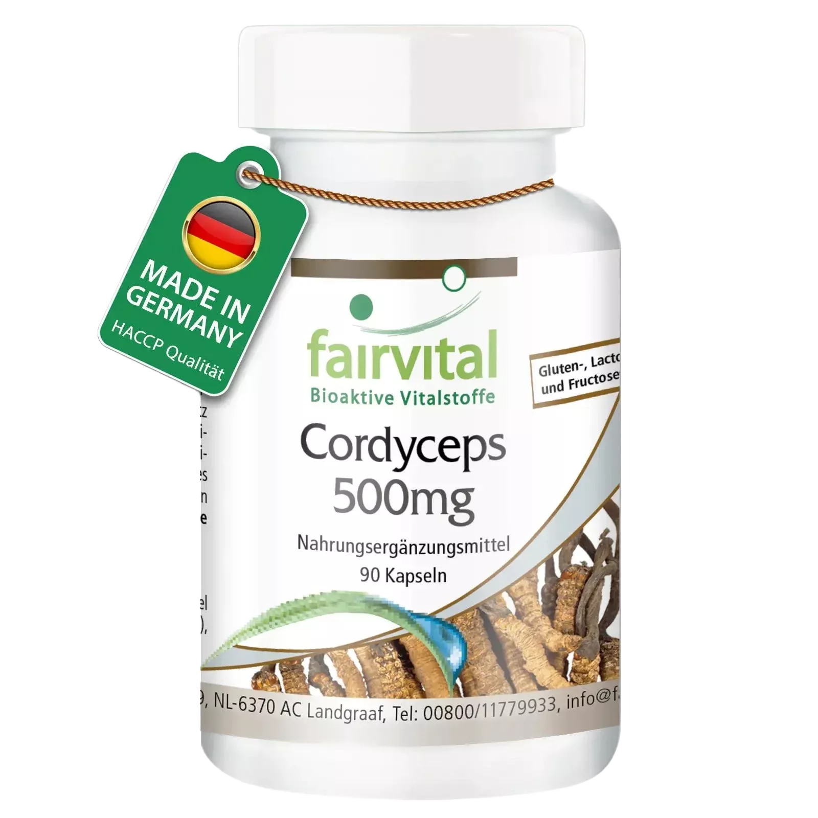 Cordyceps - Fairvital